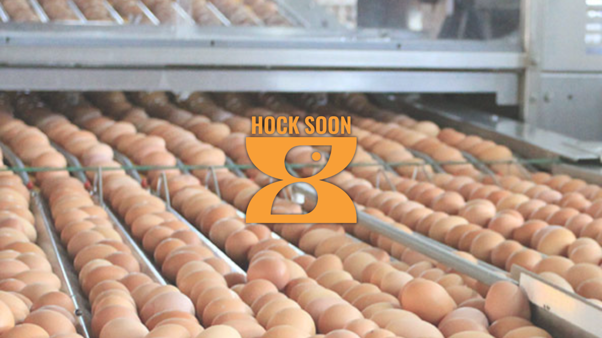 Strong Ringgit and Full Subsidy Payout Drive Hock Soon Capital’s Gross Margin to 34%