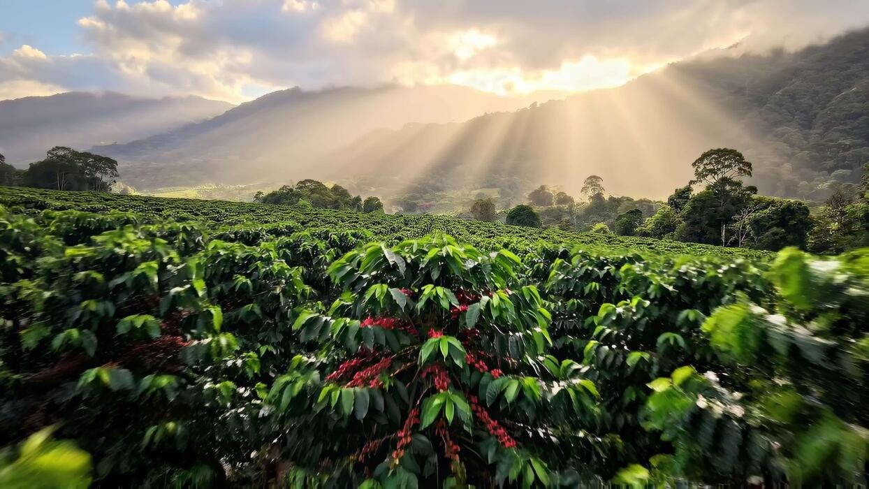 Malaysia and Spain to Explore New Agricultural Market Opportunities