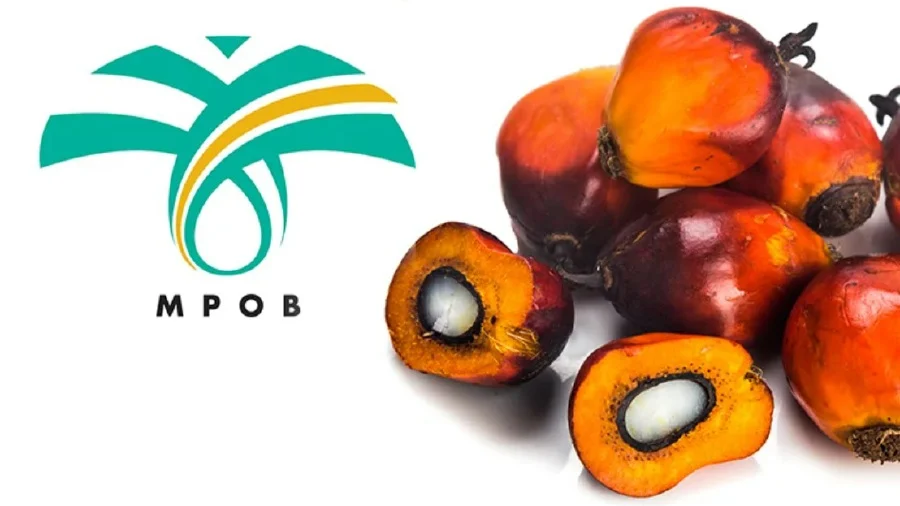 Malaysia Bets on Nine New Innovations to Reshape Palm Oil's Economic Value