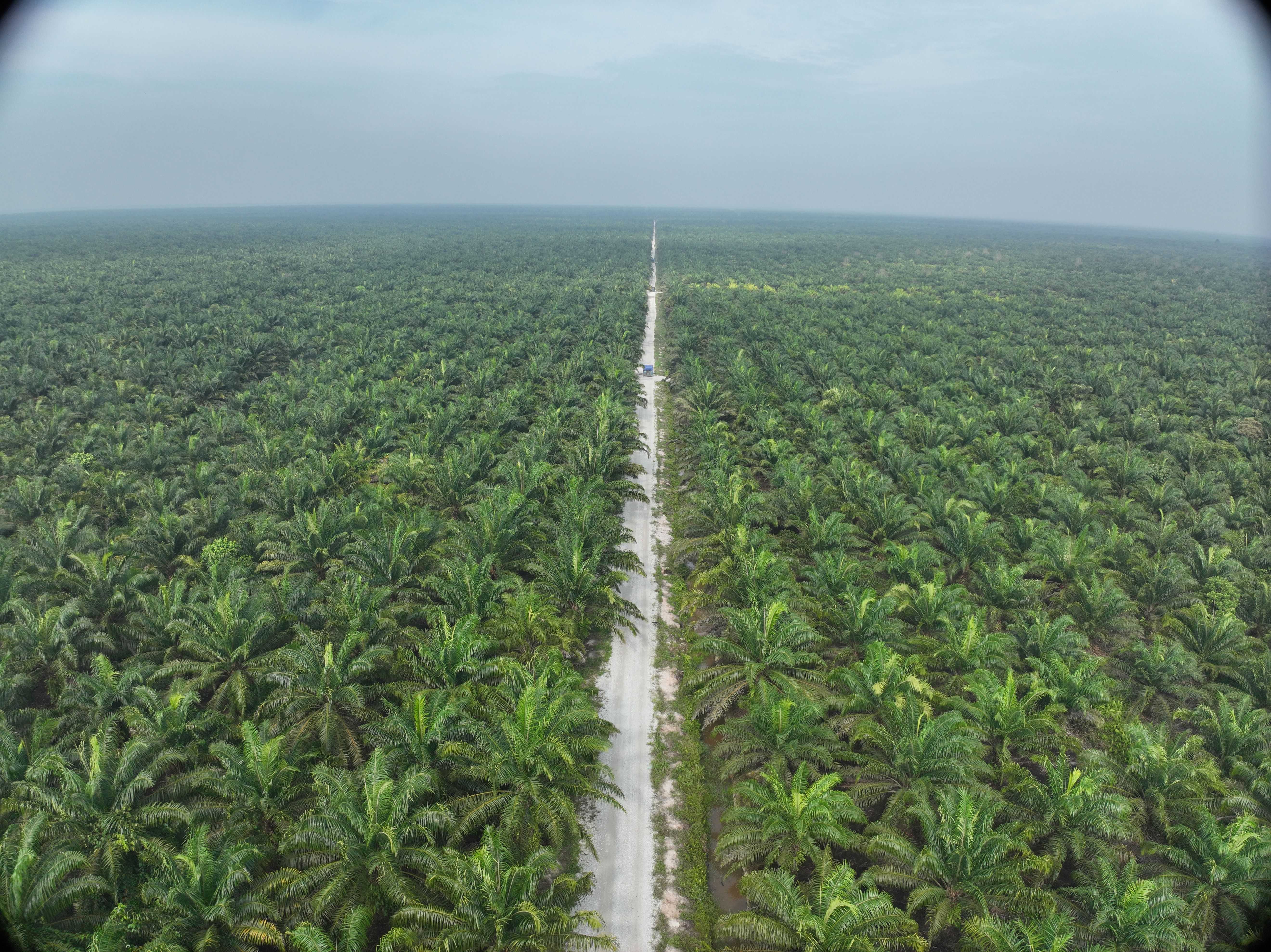 HIS TIZA Pahang buys 30% of Mentiga Corp for RM21mil