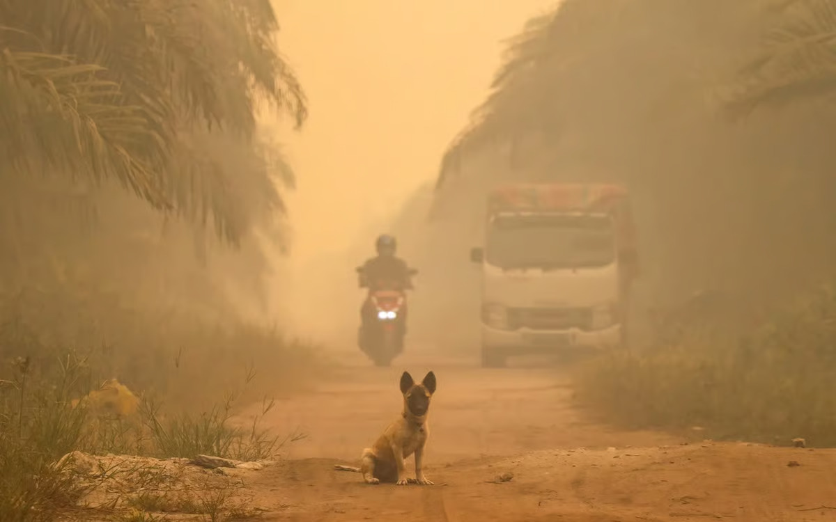 Malaysia Offers Firefighting Aid to Indonesia as Haze Spreads